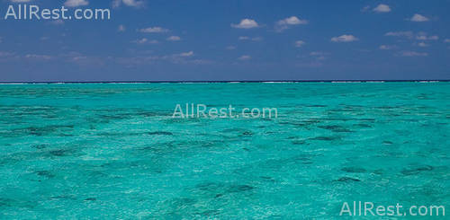 Hyatt Regency Grand Cayman Beach Suites 26